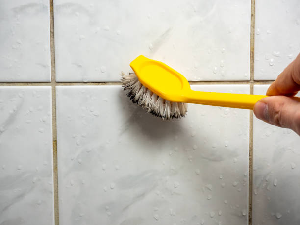 Mold Testing and Removal in Cottonport, LA