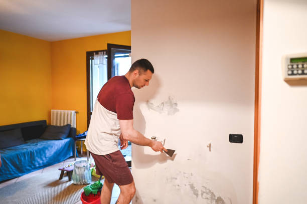 Best Mold Testing and Removal  in Cottonport, LA